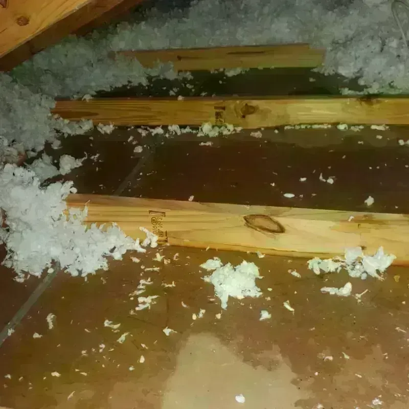 Attic Water Damage in South Vacherie, LA